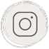 icone instagram